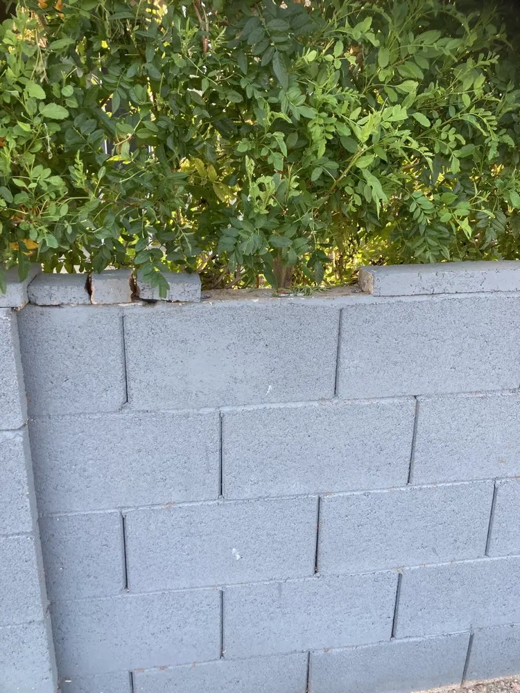 Local residential landscaping in Phoenix, AZ by Reyes landscaping