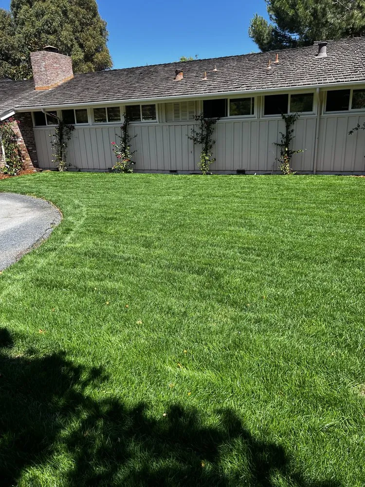 Expert garden landscaping in Redwood City, CA - Reyes Landscaping