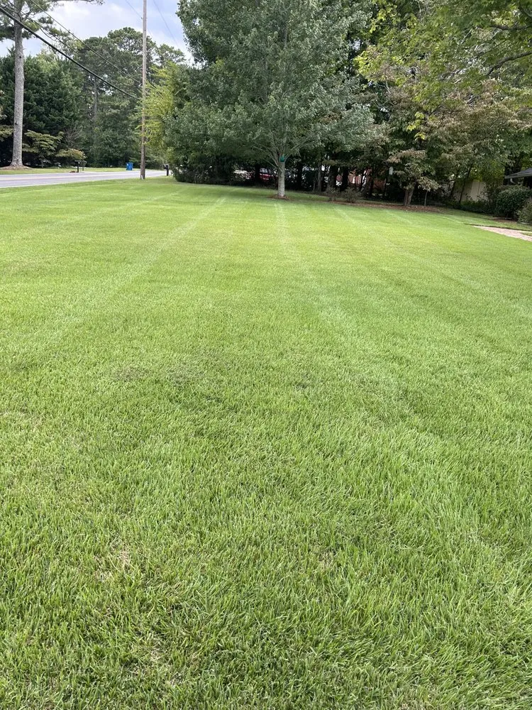Local landscape design for outdoor upgrades in Rome, GA by Reyes Landscaping