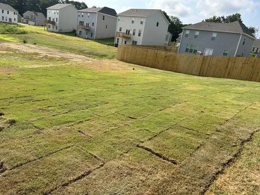 Reyes Landscaping Logo