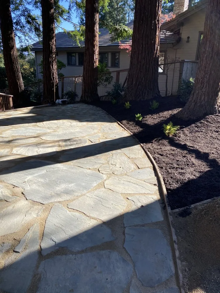 Top-rated landscaping services in Alamo, CA - Reyes Landscaping Service