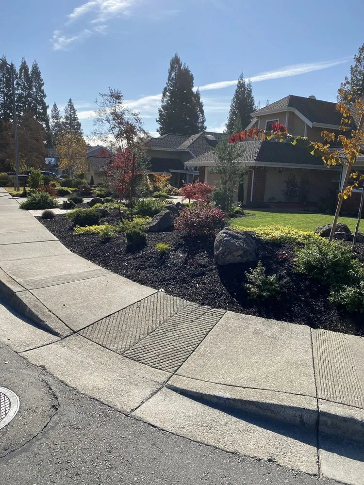 Reliable yard maintenance in Alamo, CA - Reyes Landscaping Service