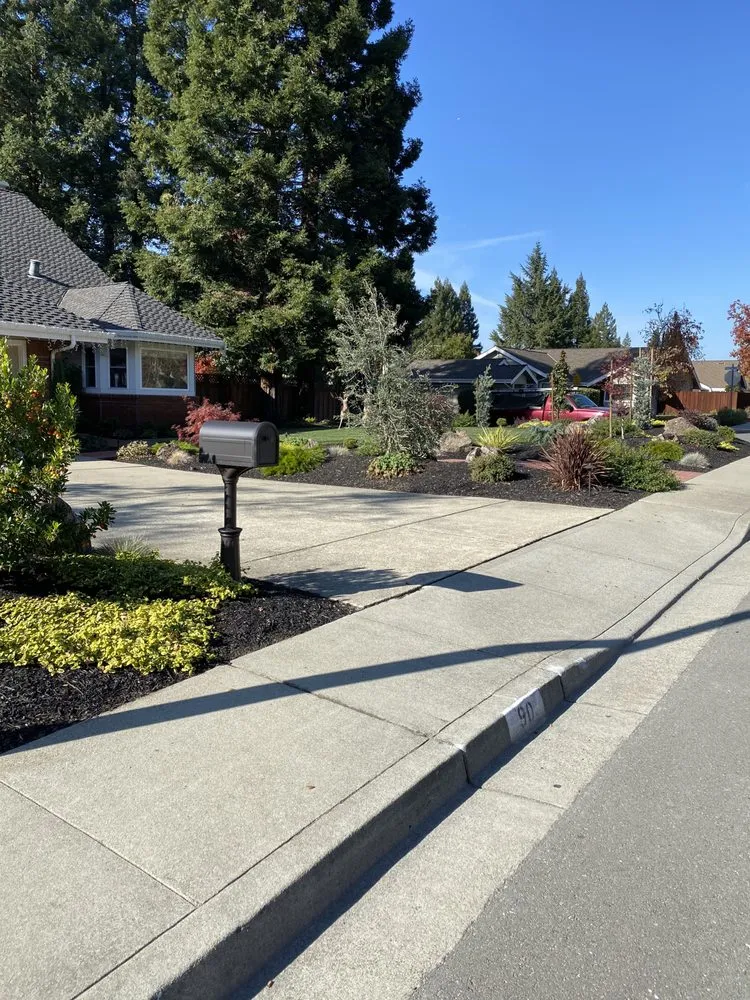 Affordable lawn care service for beautiful yards across Alamo, CA - Reyes Landscaping Service