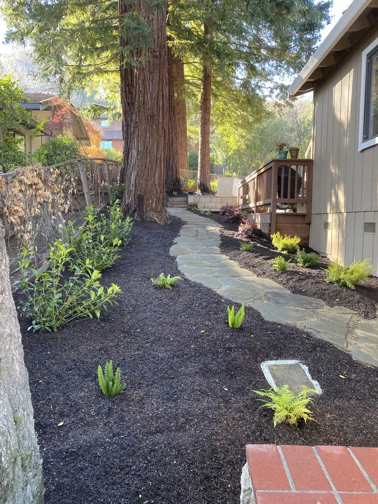 Local garden landscaping experts serving Alamo, CA - Reyes Landscaping Service