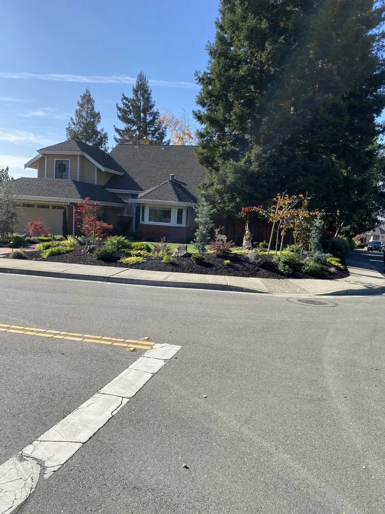 Local landscaping services experts serving Alamo, CA - Reyes Landscaping Service
