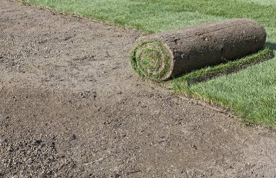 Trusted landscape installation for beautiful yards in Roswell, GA by Reyes Landscaping Services