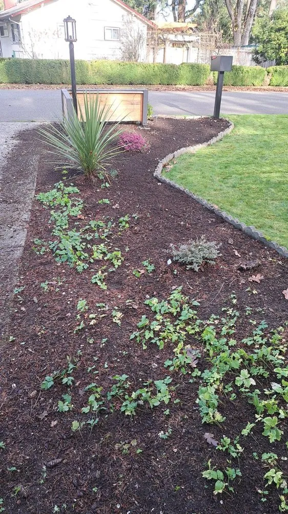 Expert lawn care service experts serving Tacoma, WA - Reyes Landscaping