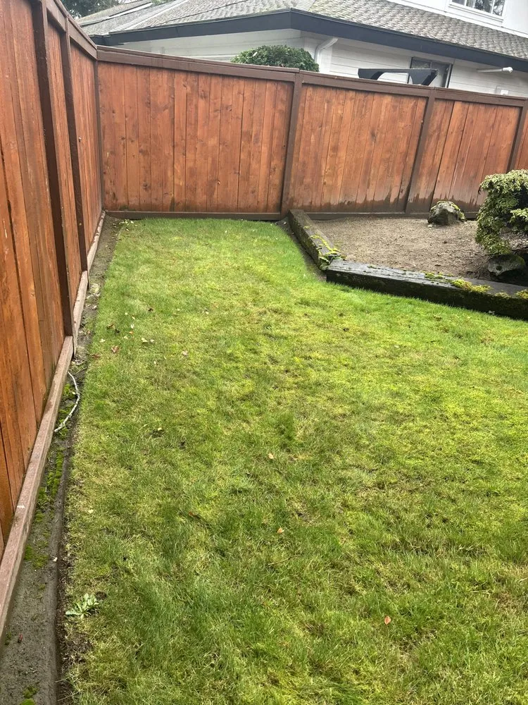 Professional lawn care service for year-round maintenance in Tacoma, WA by Reyes Landscaping