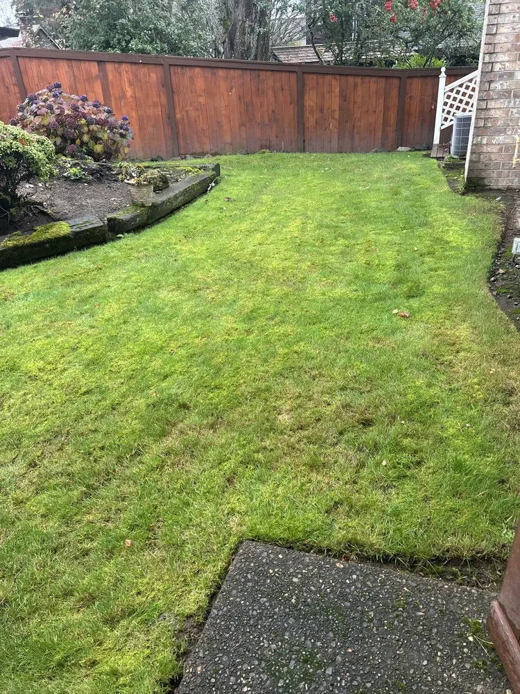 Professional yard maintenance in Tacoma, WA - Reyes Landscaping