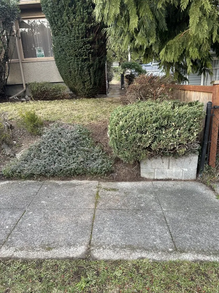 Trusted landscaping services in Tacoma, WA - Reyes Landscaping