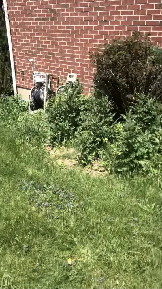 Local residential landscaping for year-round maintenance in West Chicago, IL by Reyes Landscaping