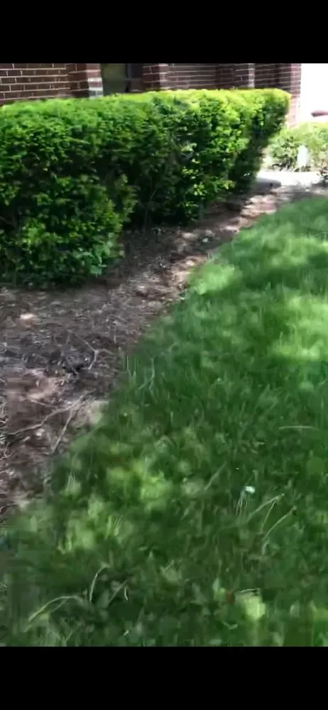 Trusted landscaping services in West Chicago, IL by Reyes Landscaping