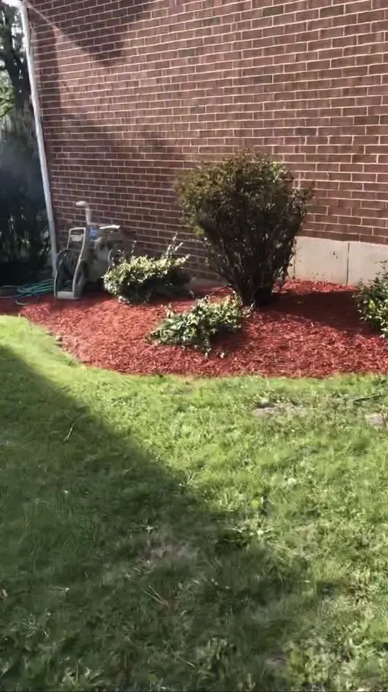 Local yard cleanup service experts serving West Chicago, IL - Reyes Landscaping