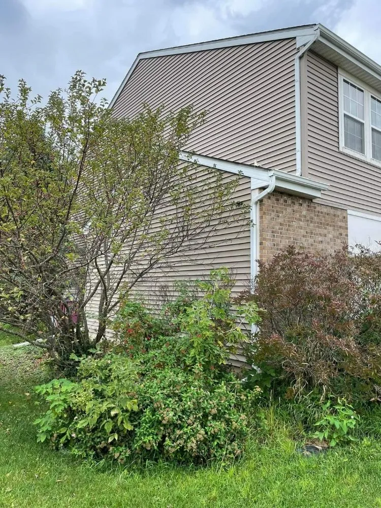 Trusted yard maintenance experts serving White Rock Township, IL - Reyes Landscaping