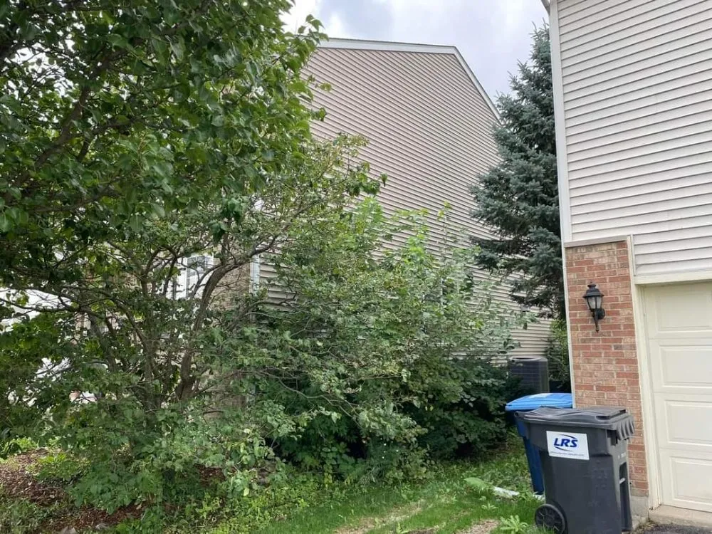 Affordable residential landscaping experts serving White Rock Township, IL - Reyes Landscaping