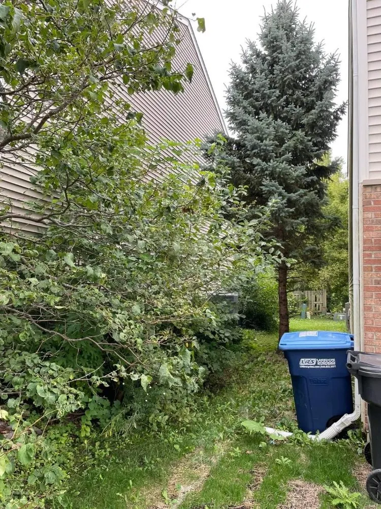 Expert landscape installation in White Rock Township, IL by Reyes Landscaping