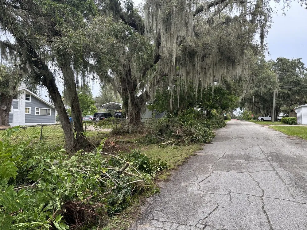 Top-rated residential landscaping in Winter Haven, FL by Reyes Lanscaping