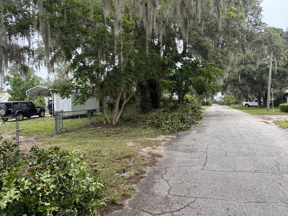 Reliable yard cleanup service for year-round maintenance across Winter Haven, FL - Reyes Lanscaping