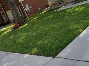 Local landscape installation for residential properties in Winter Haven, FL by Reyes Lanscaping