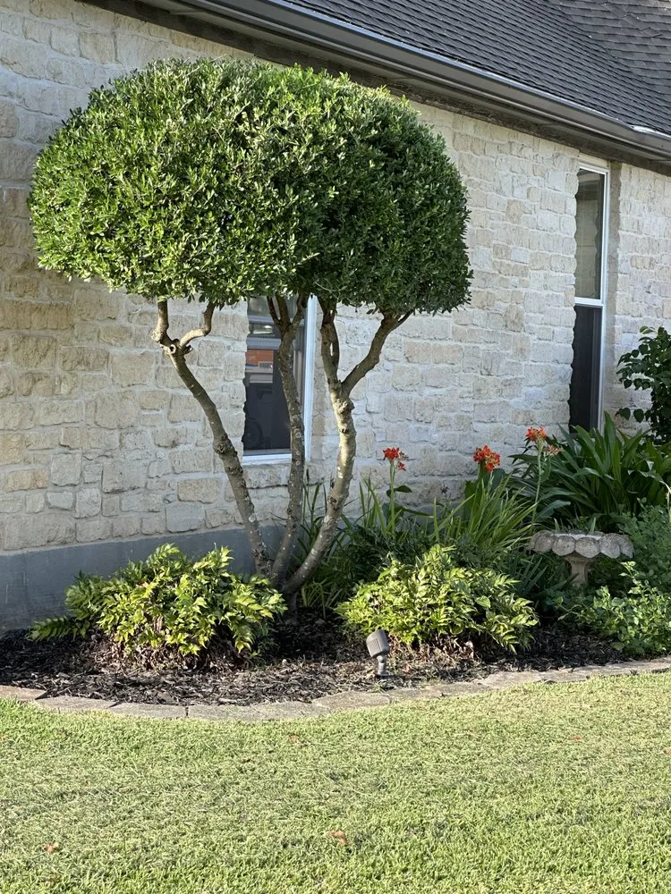 Trusted garden landscaping in Dawson, TX - Reyes Lawn an Tree Service