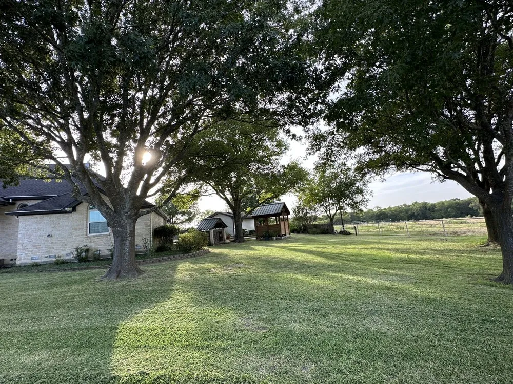 Trusted yard cleanup service in Dawson, TX by Reyes Lawn an Tree Service