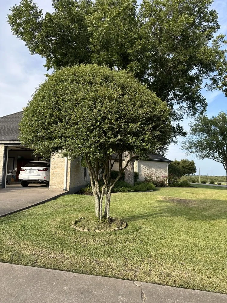 Professional residential landscaping in Dawson, TX by Reyes Lawn an Tree Service