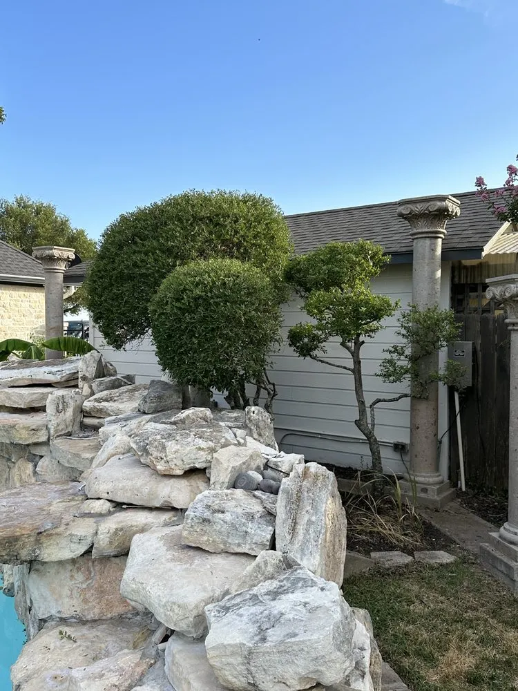 Local lawn care service in Dawson, TX - Reyes Lawn an Tree Service