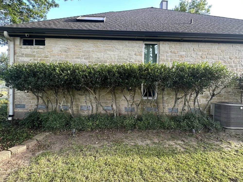 Professional yard maintenance in Dawson, TX - Reyes Lawn an Tree Service