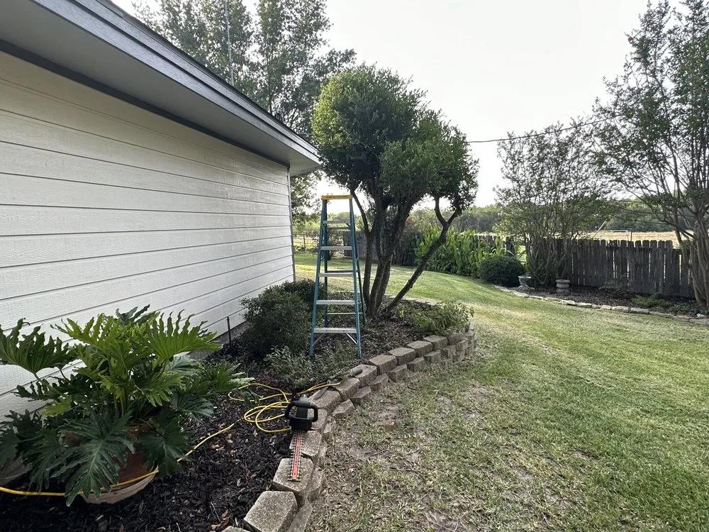 Reliable lawn care service in Dawson, TX - Reyes Lawn an Tree Service