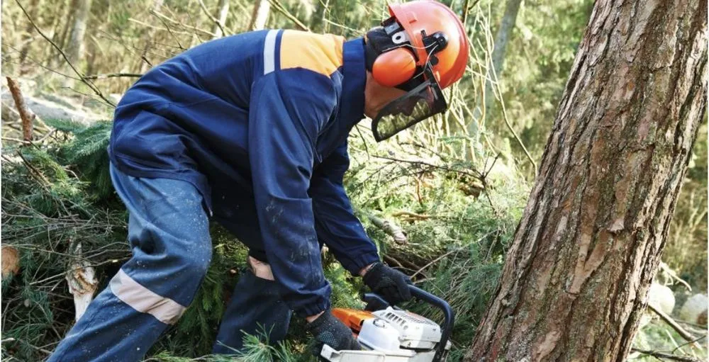 Expert yard cleanup service for outdoor upgrades in Dawson, TX by Reyes Lawn an Tree Service