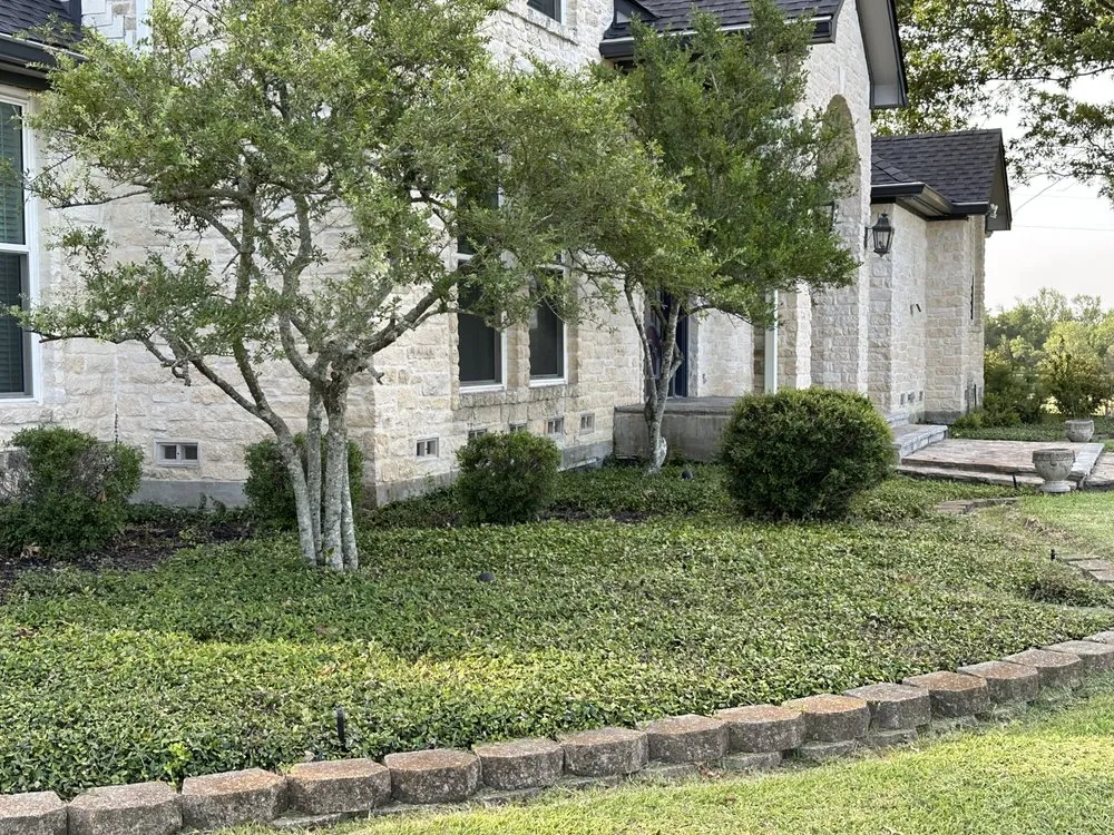 Top-rated lawn care service in Dawson, TX by Reyes Lawn an Tree Service