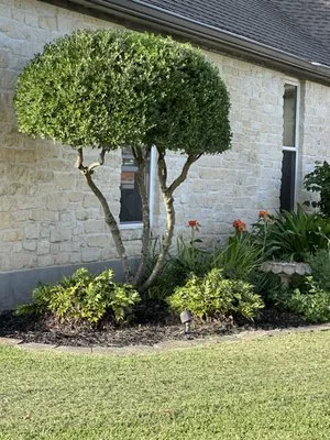 Reyes Lawn an Tree Service