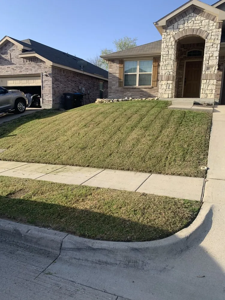 Expert yard cleanup service near you across Fort Worth, TX - Reyes Lawn Care