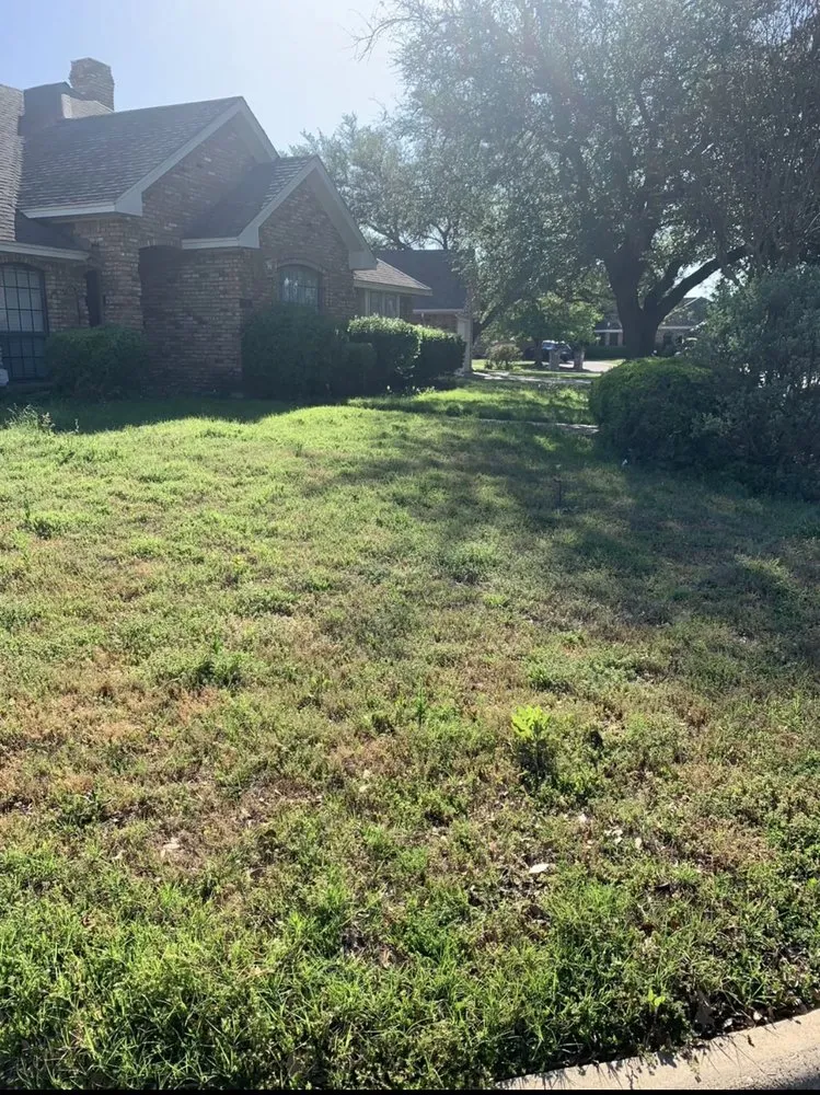 Affordable lawn care service for residential properties across Fort Worth, TX - Reyes Lawn Care