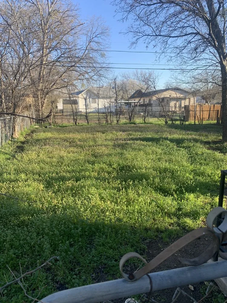 Expert yard cleanup service in Fort Worth, TX by Reyes Lawn Care