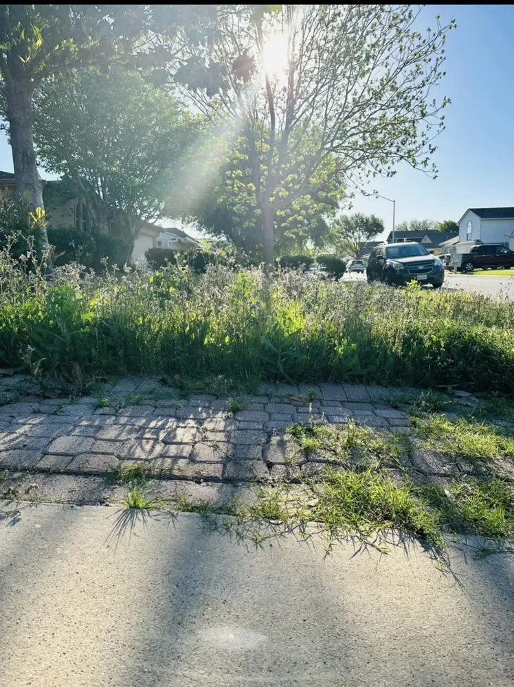 Local yard cleanup service in Fort Worth, TX by Reyes Lawn Care