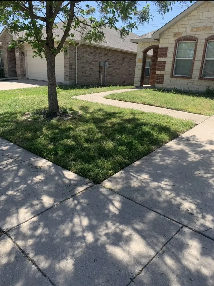 Affordable yard cleanup service in Fort Worth, TX - Reyes Lawn Care