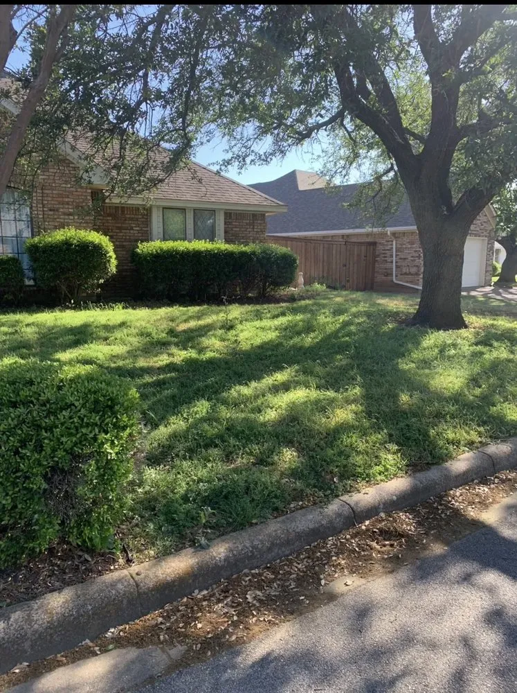 Affordable residential landscaping in Fort Worth, TX - Reyes Lawn Care