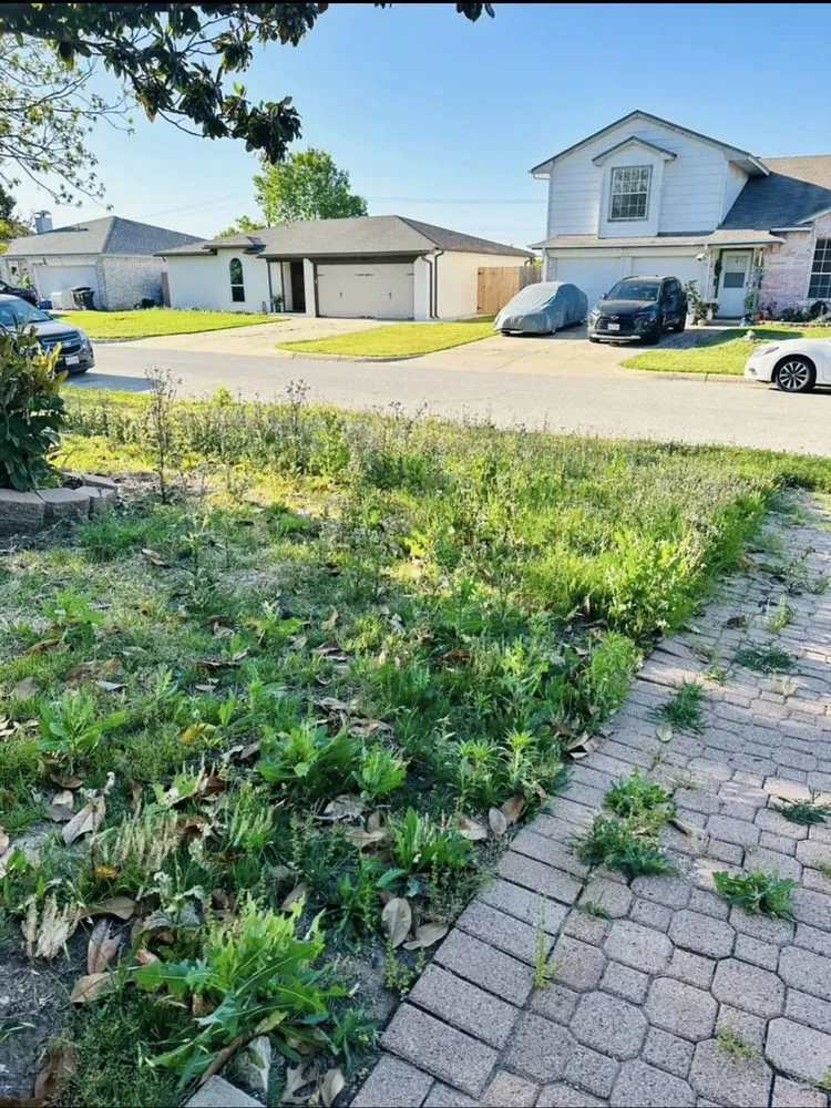 Reliable lawn care service in Fort Worth, TX by Reyes Lawn Care