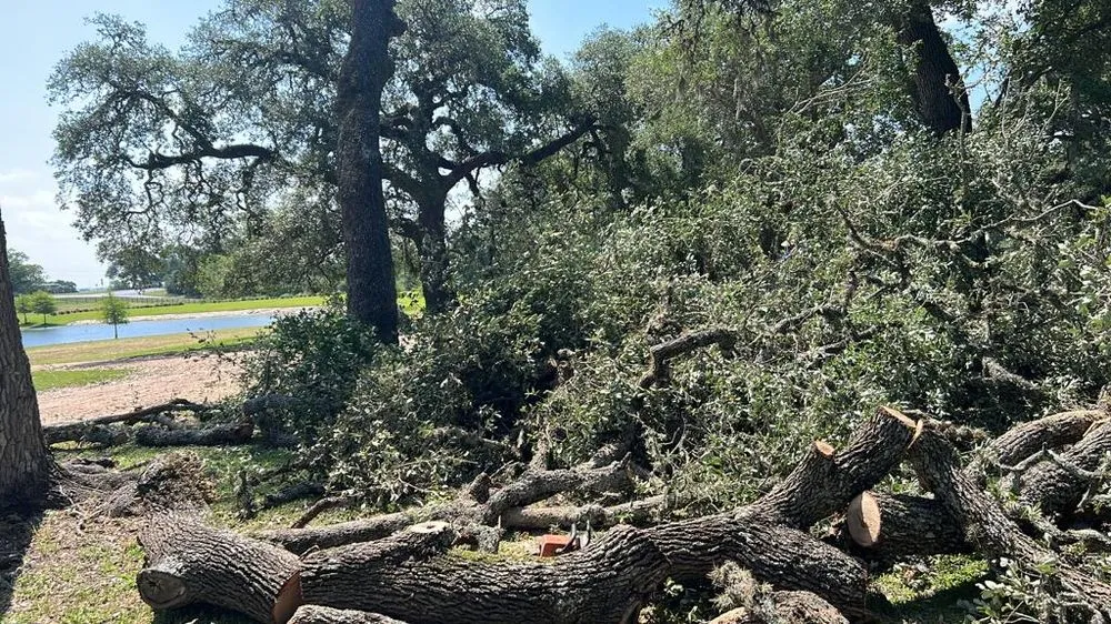 Reliable landscape installation in Hempstead, TX - Reyes Lawn Care