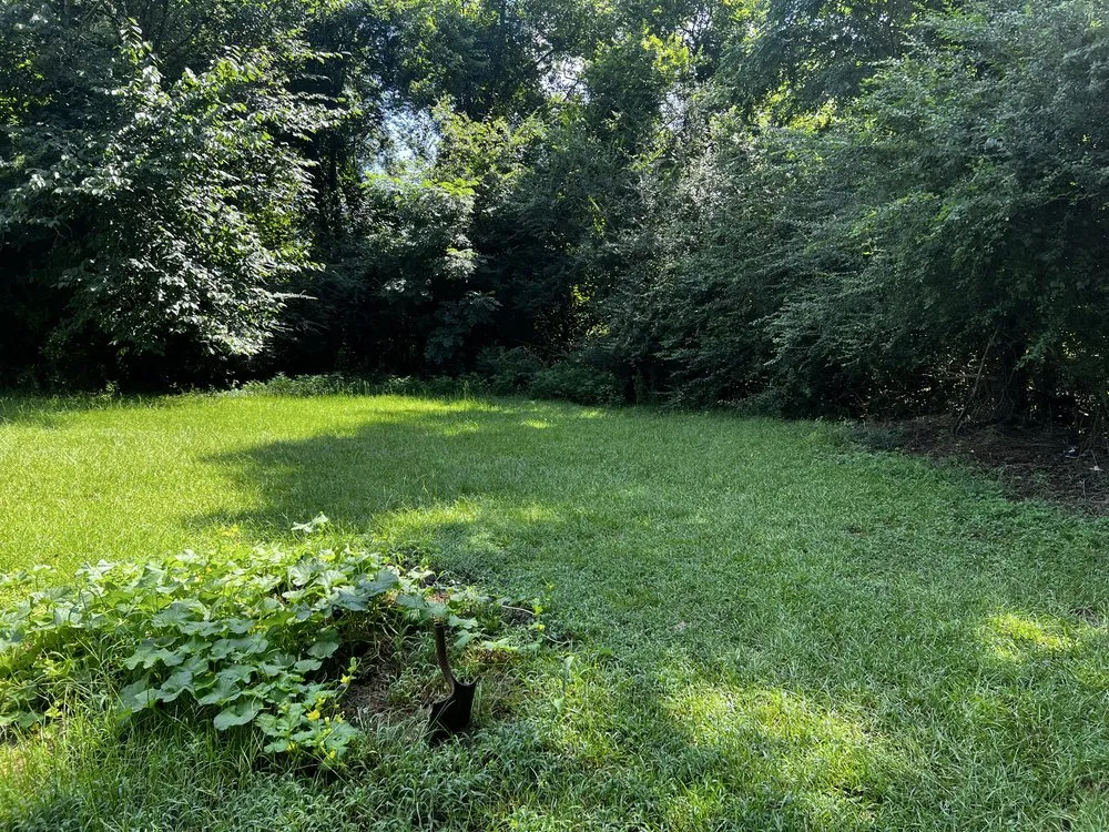 Professional landscape installation in East Dublin, GA by Reyes Lawn Care Service Services