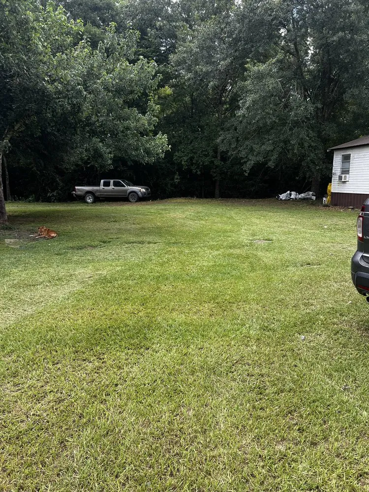 Custom landscape installation experts serving East Dublin, GA - Reyes Lawn Care Service Services