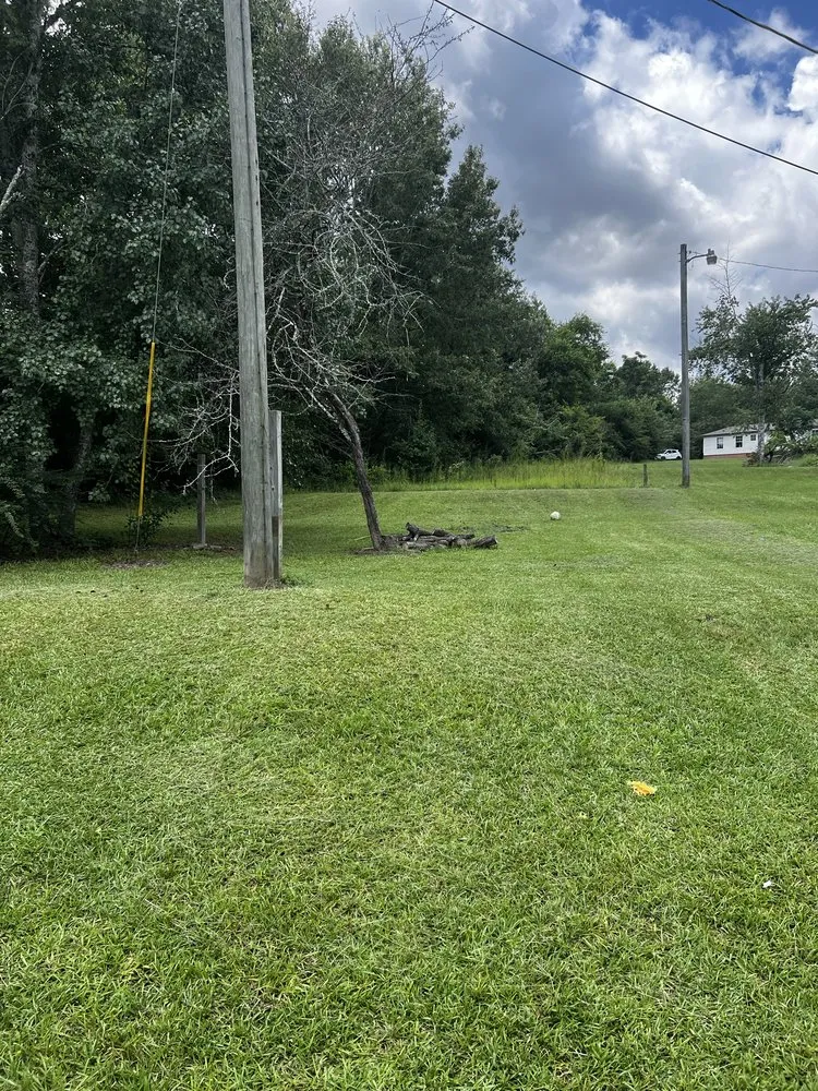 Top-rated landscape design experts serving East Dublin, GA - Reyes Lawn Care Service Services