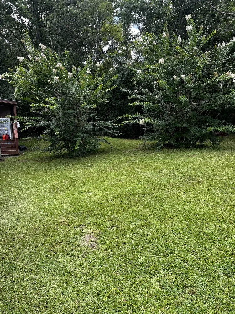 Professional landscape installation in East Dublin, GA - Reyes Lawn Care Service Services