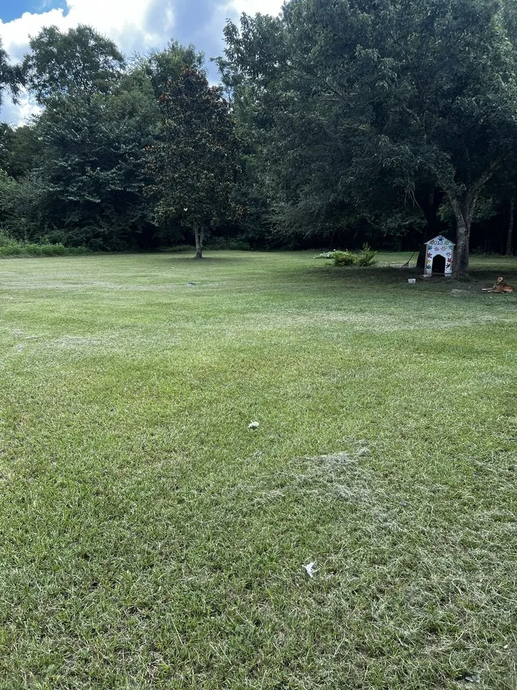 Reliable landscaping services near you across East Dublin, GA - Reyes Lawn Care Service Services