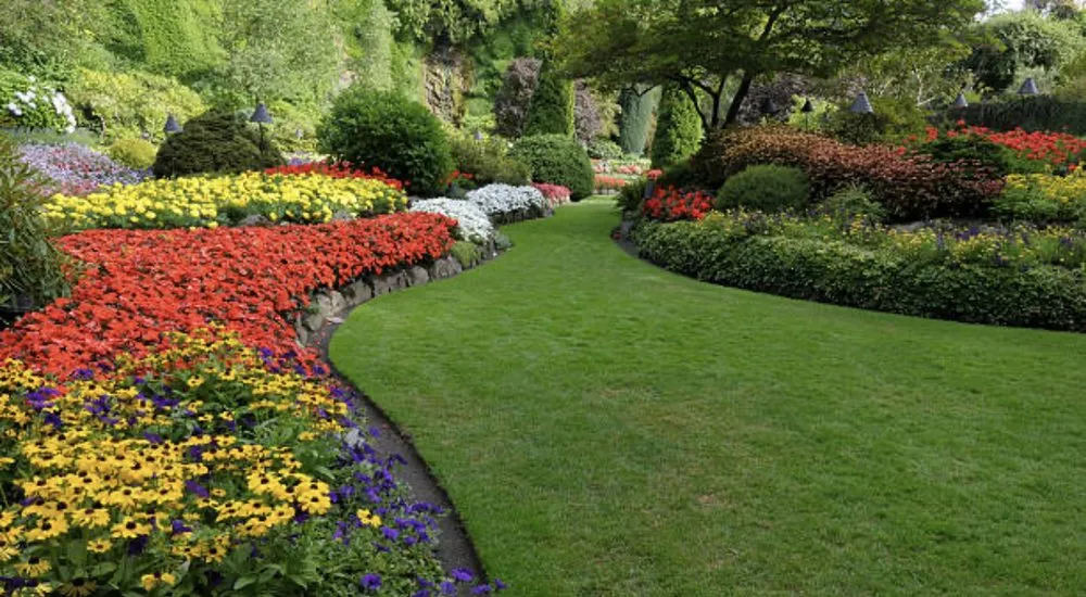 Local lawn care service for outdoor upgrades across Bellflower, CA - Reyes Lawn Maintenance