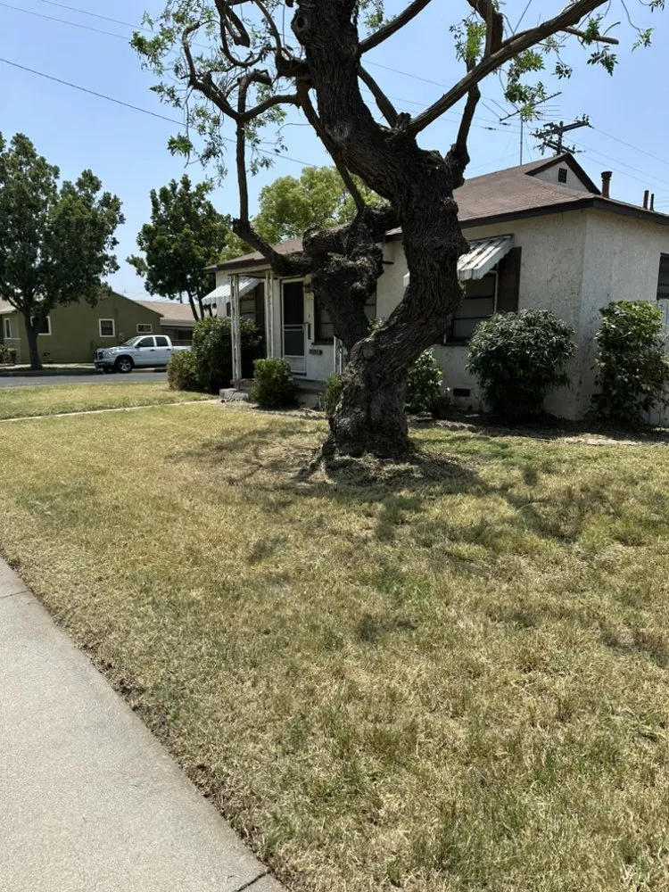 Expert lawn care service in Bellflower, CA by Reyes Lawn Maintenance