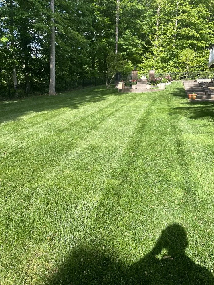 Professional yard maintenance in Stafford, VA - Reyes Lawn Maintenance