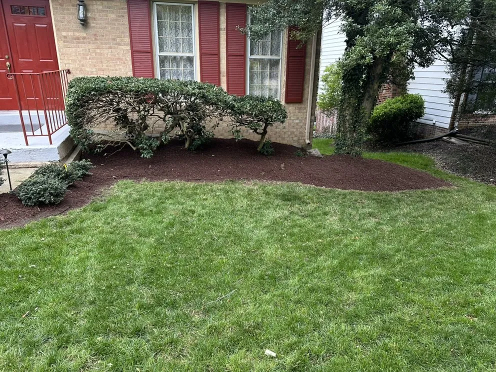 Professional landscaping services experts serving Alexandria, VA - Reyes Pro Landscaping
