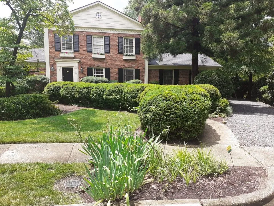 Top-rated yard cleanup service experts serving Alexandria, VA - Reyes Pro Landscaping